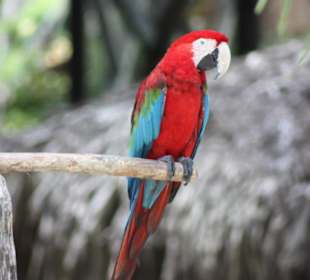 Manati Park