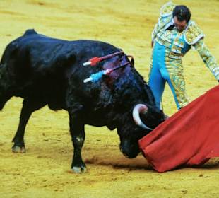 Torrero-Anzug