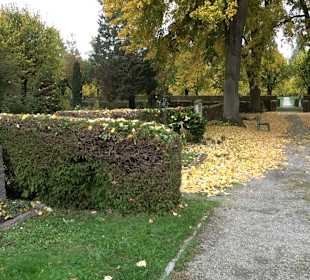 Hauptfriedhof Friedrichshafen