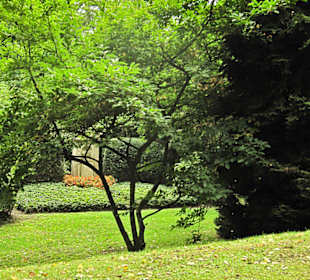 Кладбище Ольсдорф, Гамбург, 16 сентября 2013 года