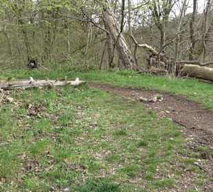 Wanderung rund um das Rusenschloss Gerhausen