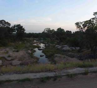 Krüger Nationalpark