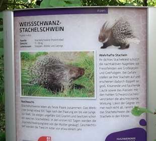 Tierpark Hellabrunn