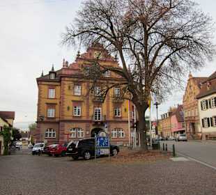 Rathaus Herbolzheim Breisgau