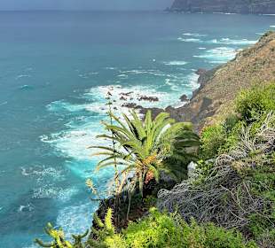 Wandern Puerto de la Cruz