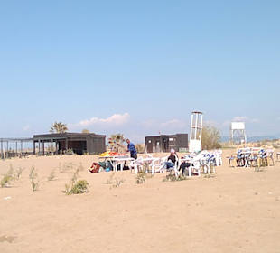 Am Strand überall Orangensaft 