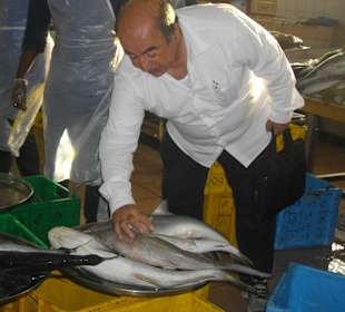 Elias beim Erklären auf dem Fischmarkt