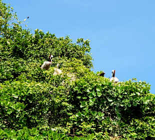 Los Haitises Nationalpark