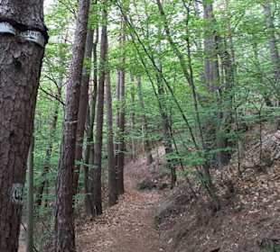 Krämerstein in Landstuhl