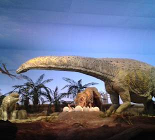 Tolle Animation und Geräusche