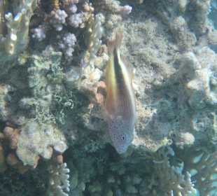 Alle Bilder an einem Tag!