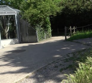 Zoo Heidelberg