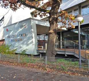 Außenansicht des Zoologischen Museums