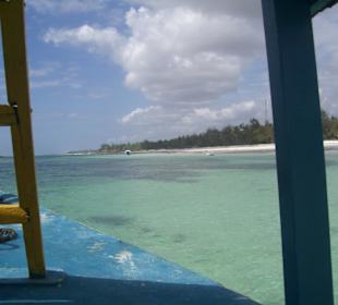 Ausflug Glasbodenboot Diani Beach