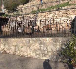 Aussenbereich - Drescherei