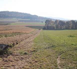 Blick in die Landschaft