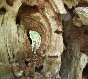 Klettergebiet Mazet-Plage