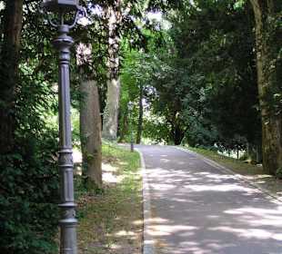 Weg zum Schloss Callenberg
