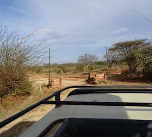 Unterwegs im Tsavo Ost