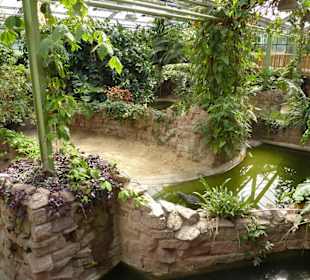 Sunda Gavial Terrarium