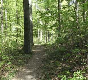 Wanderweg Hochgehwachsen