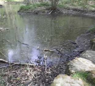 Barfußpfad Firstwald