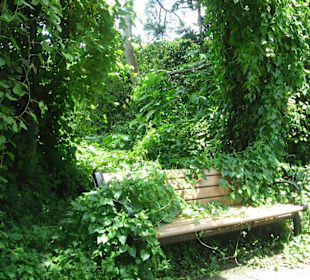 Auf der Insel Cheung Chau