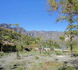 Tunte/San Bartolomé de Tirajana, Gran Canaria