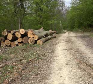 Wandertour durchs Reissenbachtal Oberhausen
