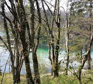 Blick von oben auf einen der Seen