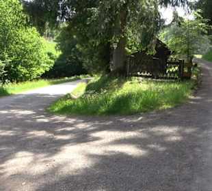 Wanderung Klosterquelle Klosterreichenbach