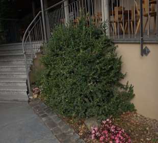 Erlebnispark Tripsdrill