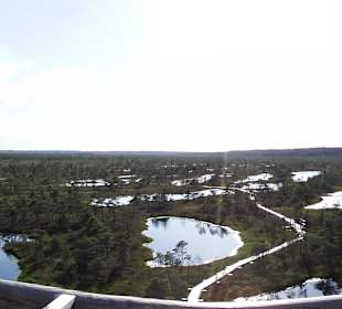 Bohlenweg durchs Kemeru-Moor