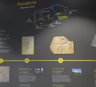 Dinosaurier Museum Altmühltal