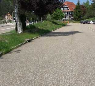 Naturparkzentrum Ruhestein