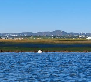 Bootstour Ria Formosa