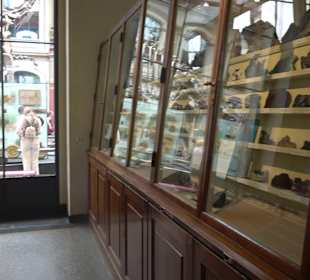 Museum für Naturkunde