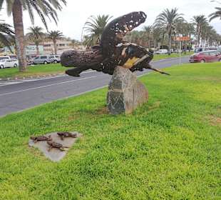 Stadtrundgang Jandia / Playa de Jandia