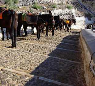 11.Tag Santorin Eselstation