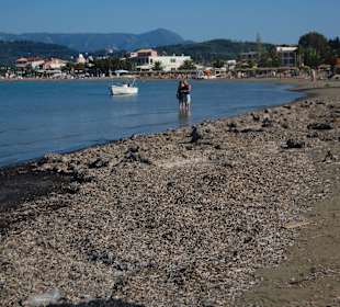 Zustand des Strandes 