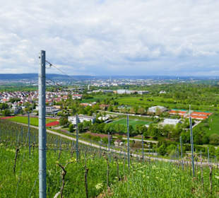 Blick auf Korb