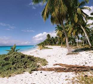 Isla Saona