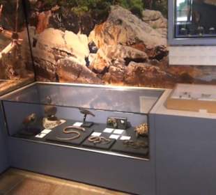 Niedersächsisches Landesmuseum