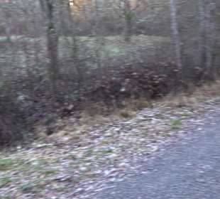 Wanderung rund um den Ochsenweiher