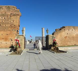 Guards