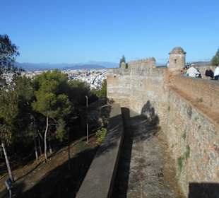 Gibralfaro