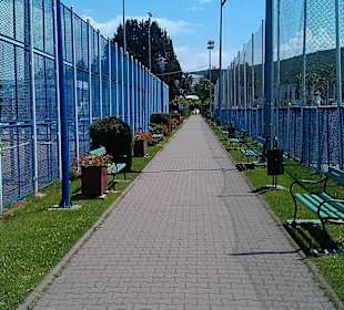 Complexul De Agrement Şi Sport Mureşul 