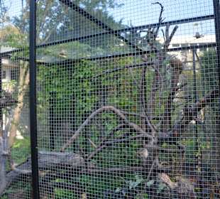 Zoo