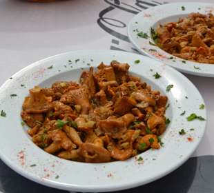 Pfifferlingszeit Nov-Januar