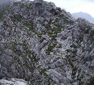 Mindelheimer Klettersteig
